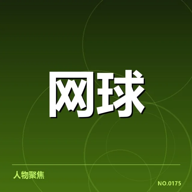 代表性球员的成长轨迹与数据